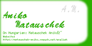 aniko matauschek business card